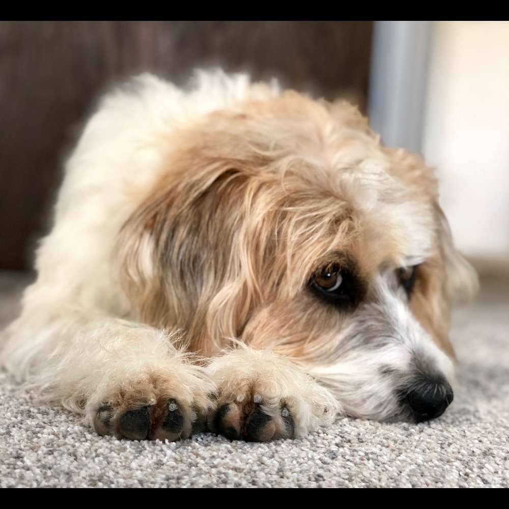 Meet your Posher, Courtney